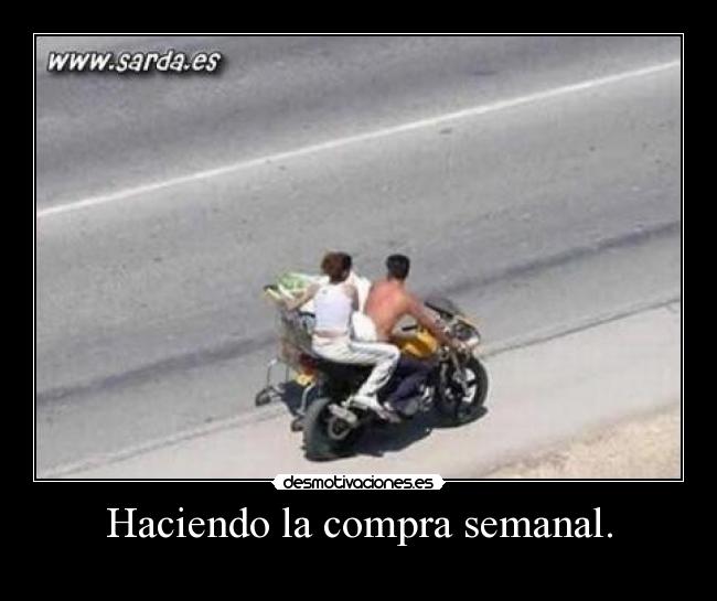 Haciendo la compra semanal. - 