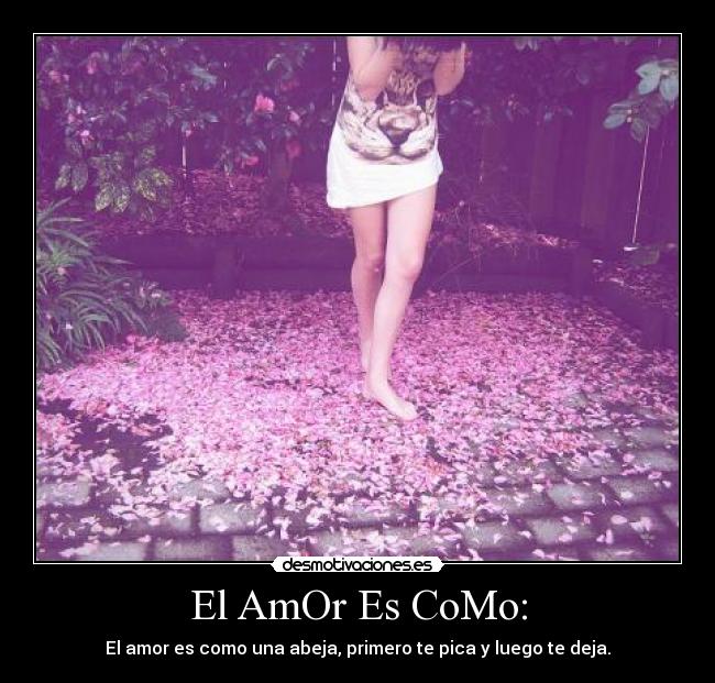 El AmOr Es CoMo: - 