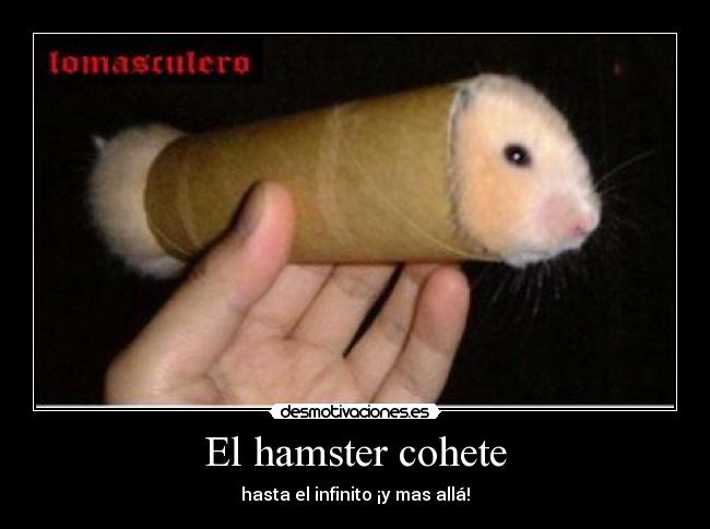 El hamster cohete -