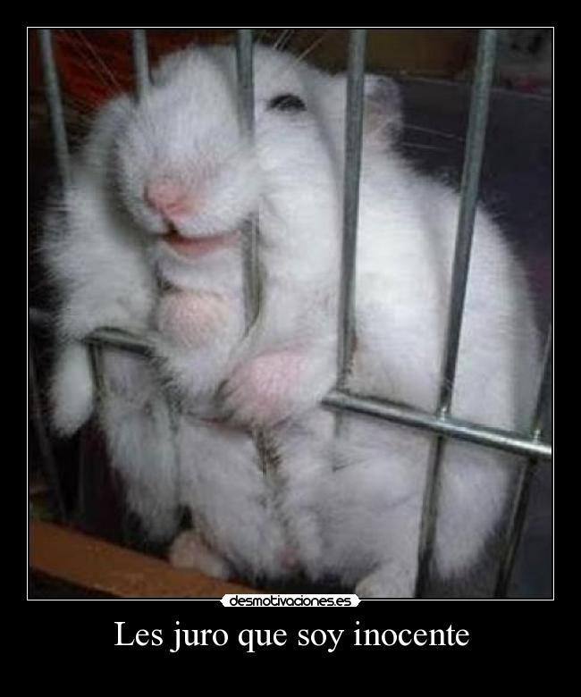 Les juro que soy inocente -