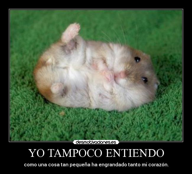 YO TAMPOCO ENTIENDO - como una cosa tan pequeña ha engrandado tanto mi corazón.