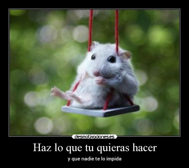 Haz lo que tu quieras hacer - y que nadie te lo impida