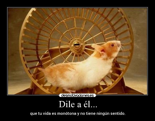 Dile a él... - que tu vida es monótona y no tiene ningún sentido.