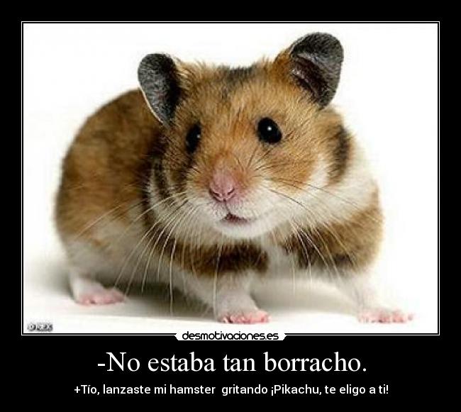 -No estaba tan borracho. - +Tío, lanzaste mi hamster  gritando ¡Pikachu, te eligo a ti!