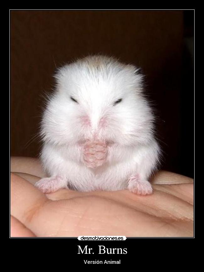 Mr. Burns - Versión Animal