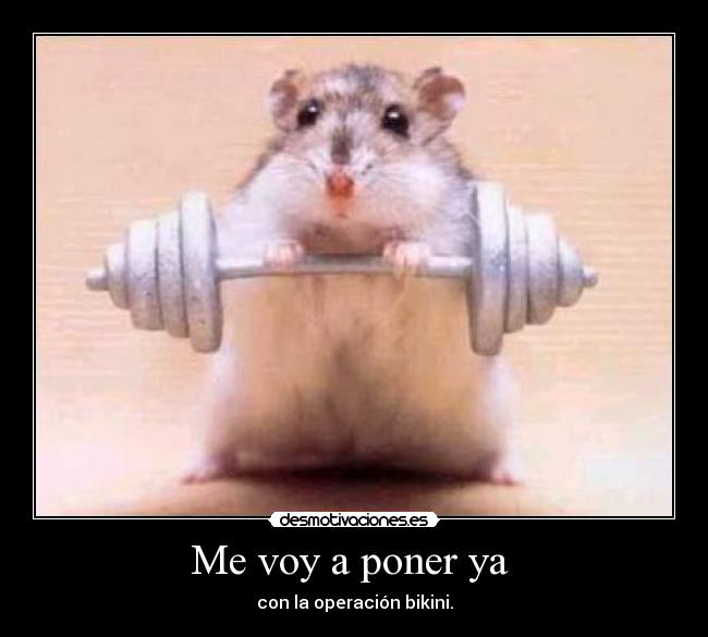 Me voy a poner ya - con la operación bikini.