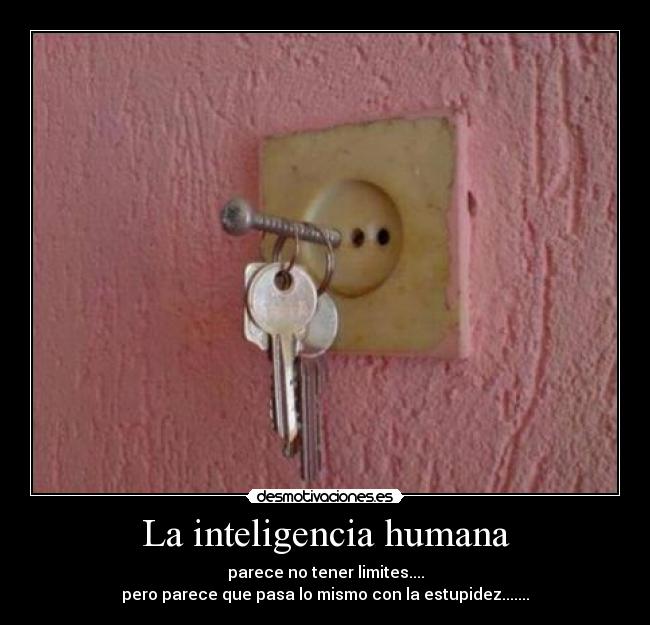 La inteligencia humana - parece no tener limites....
pero parece que pasa lo mismo con la estupidez.......