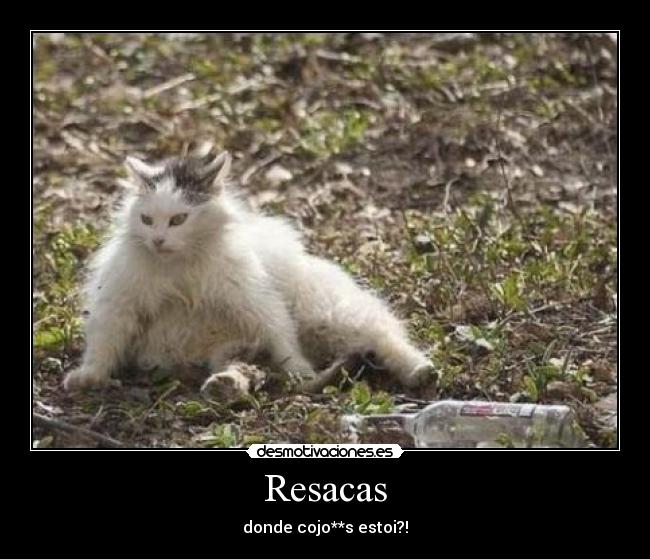 Resacas - donde cojo**s estoi?!