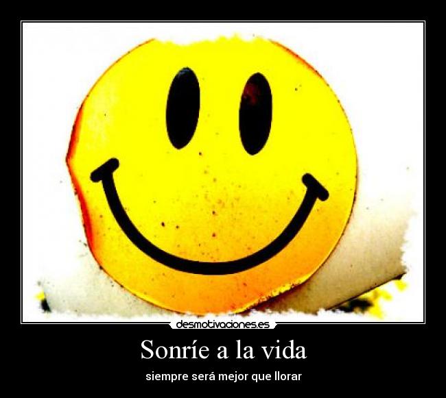 carteles vida sonrie vida desmotivaciones