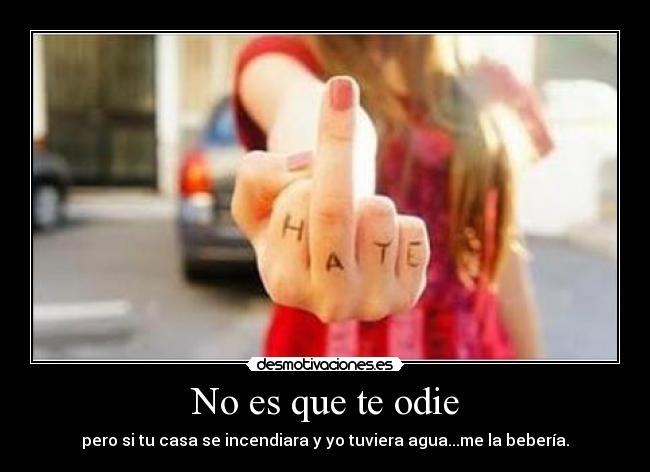No es que te odie -