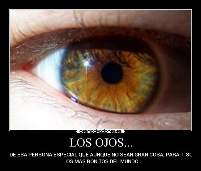 LOS OJOS... - 