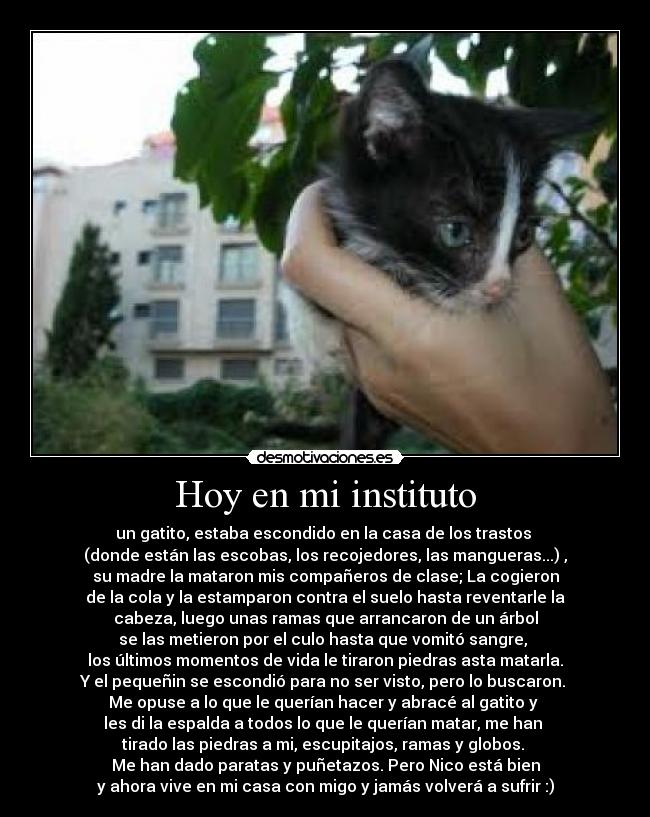 Hoy en mi instituto - 