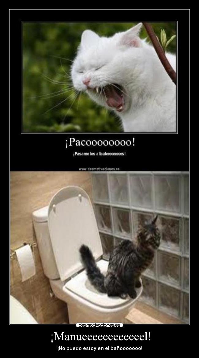 ¡Manueeeeeeeeeeeel! -