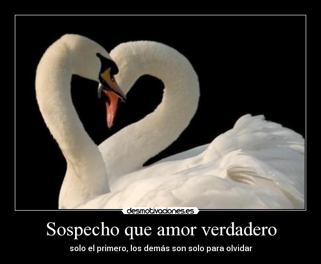 Sospecho que amor verdadero -
