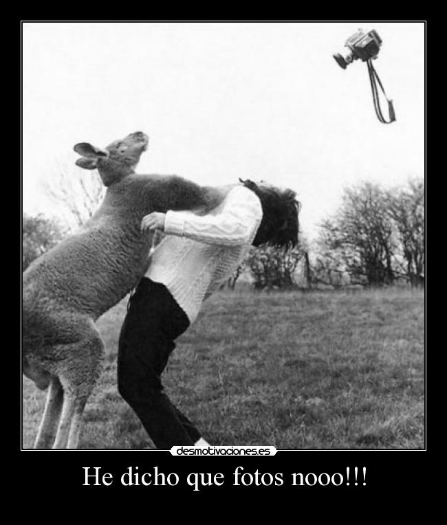 He dicho que fotos nooo!!! - 