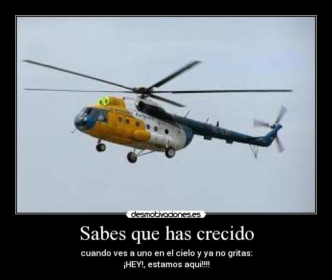 Sabes que has crecido - cuando ves a uno en el cielo y ya no gritas:
¡HEY!, estamos aqui!!!!