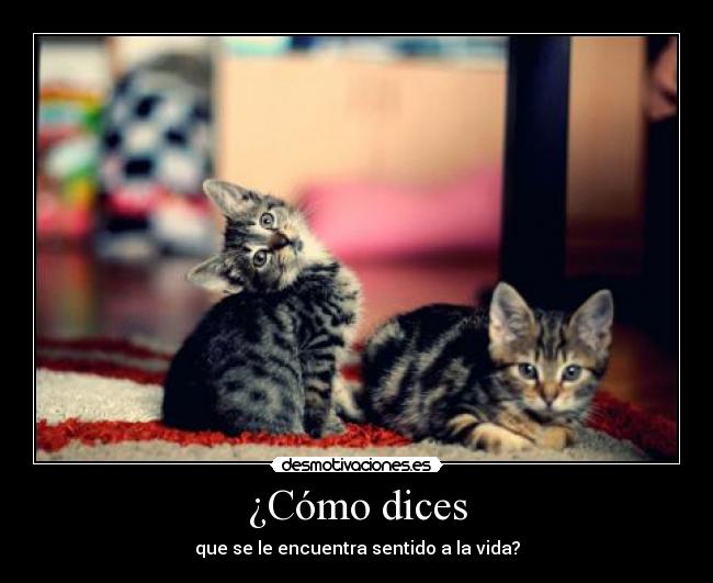 ¿Cómo dices - que se le encuentra sentido a la vida?