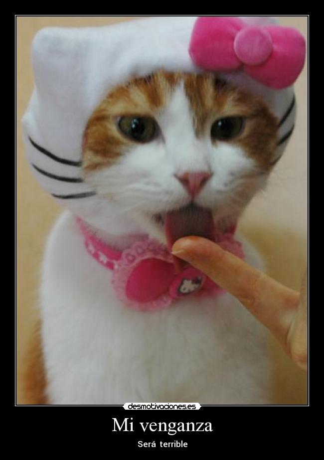 Mi venganza - Será terrible