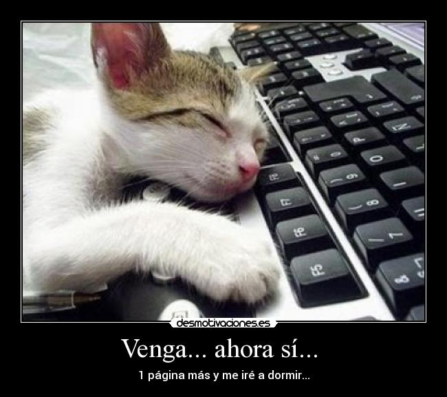 Venga... ahora sí... -