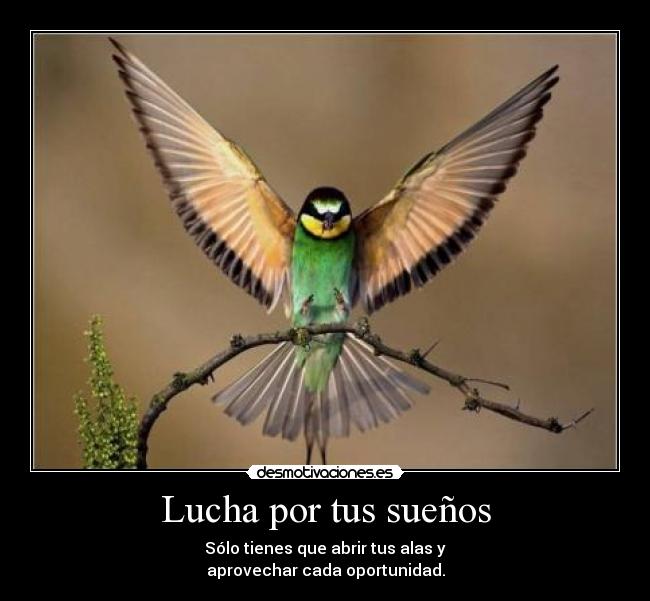 Lucha por tus sueños -