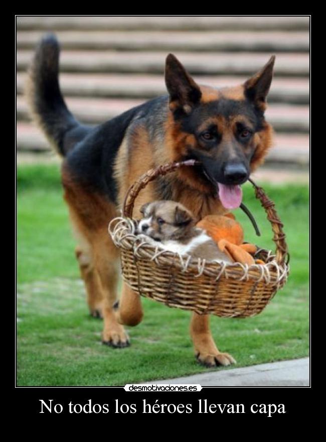 No todos los héroes llevan capa -