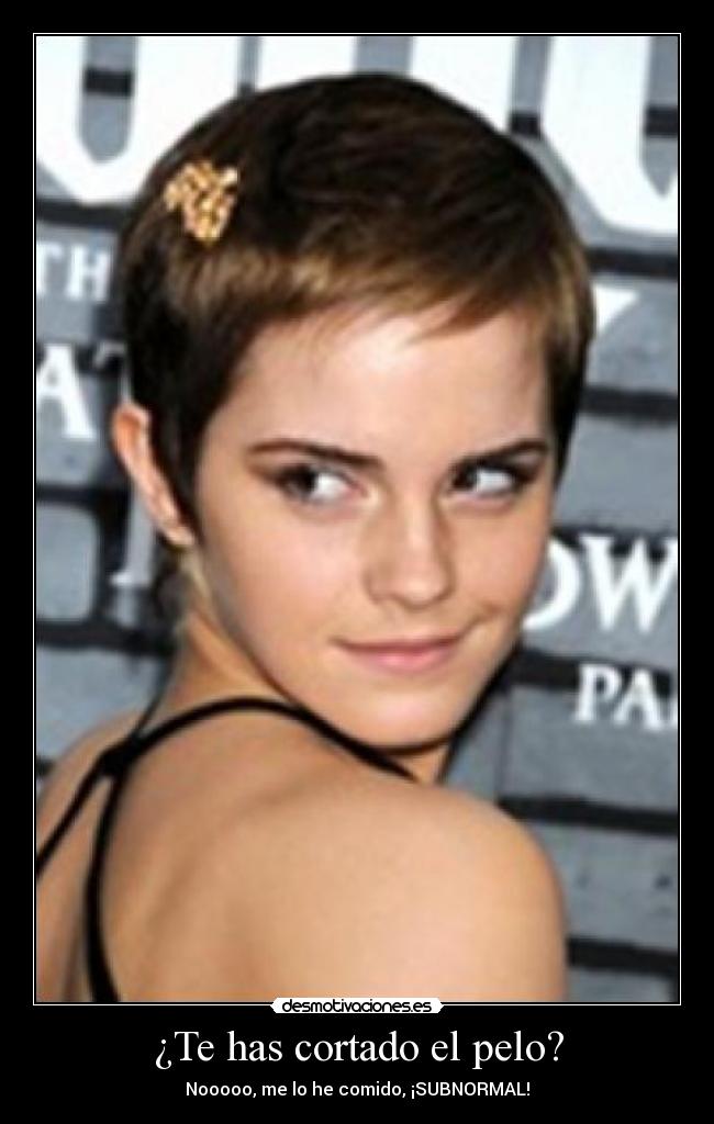 ¿Te has cortado el pelo? -