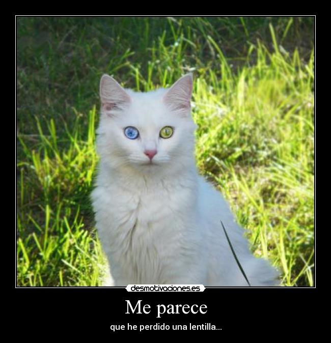 Me parece - 