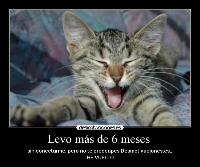 carteles google desmotivaciones