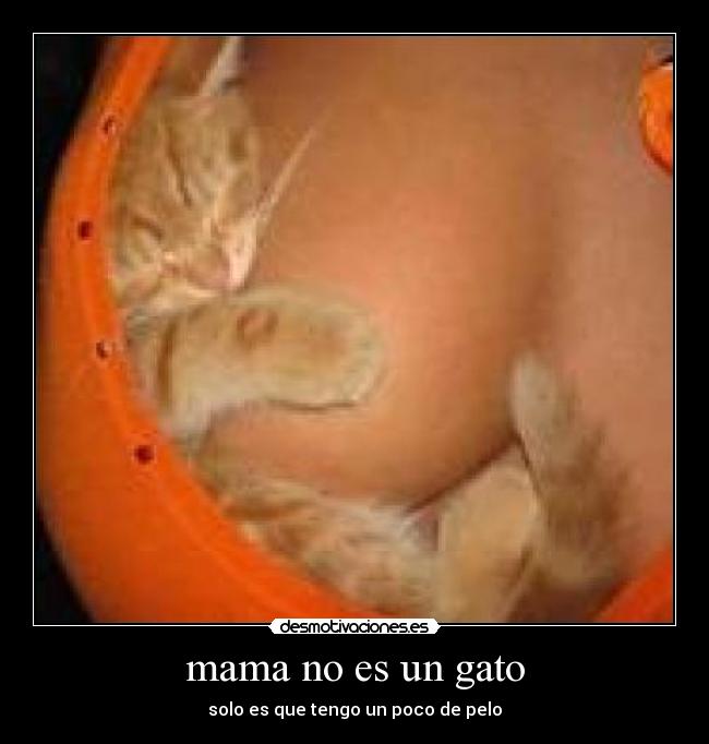 mama no es un gato - solo es que tengo un poco de pelo