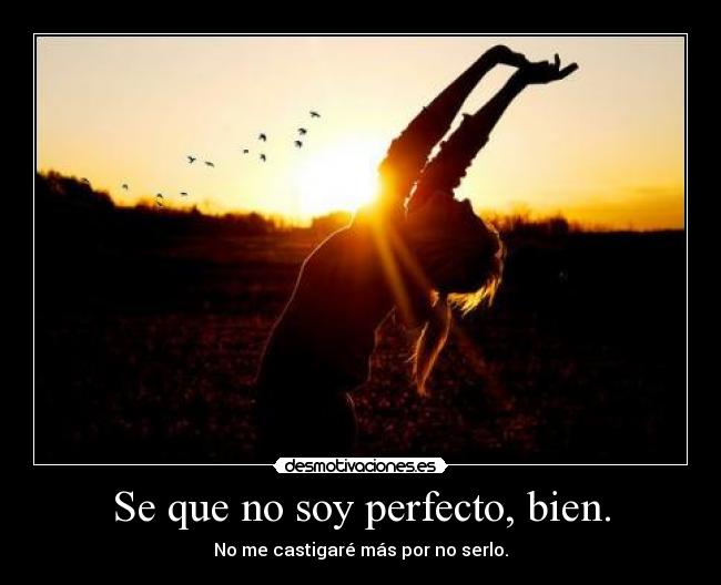 carteles chojin perfecto castigar bien desmotivaciones