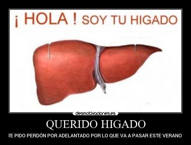 QUERIDO HIGADO - TE PIDO PERDÓN POR ADELANTADO POR LO QUE VA A PASAR ESTE VERANO!!