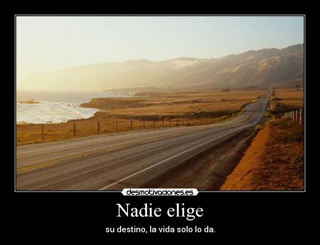 Nadie elige - 