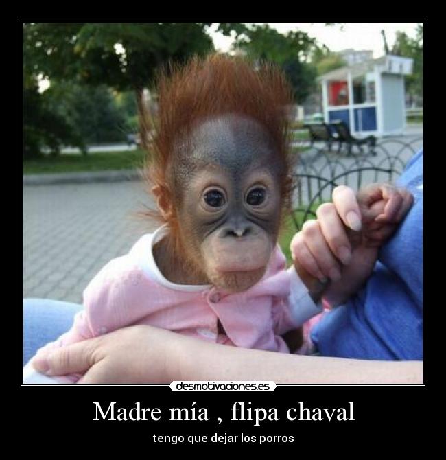 Madre mía , flipa chaval - 