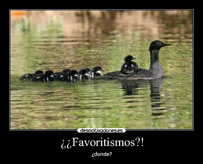 ¿¿Favoritismos?! - ¿donde?