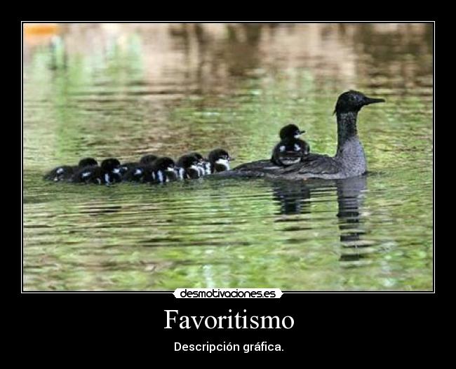 Favoritismo - Descripción gráfica.