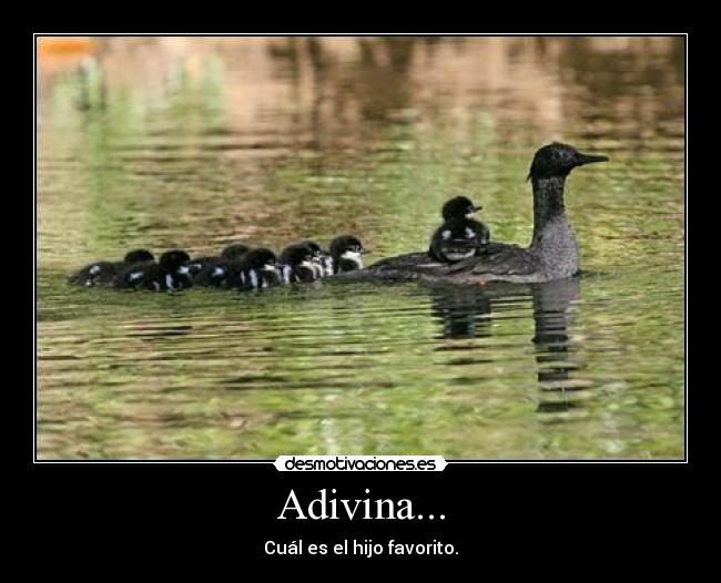 carteles eldeabajoesmejor desmotivaciones