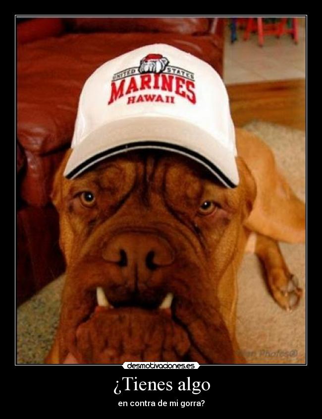 ¿Tienes algo - en contra de mi gorra?