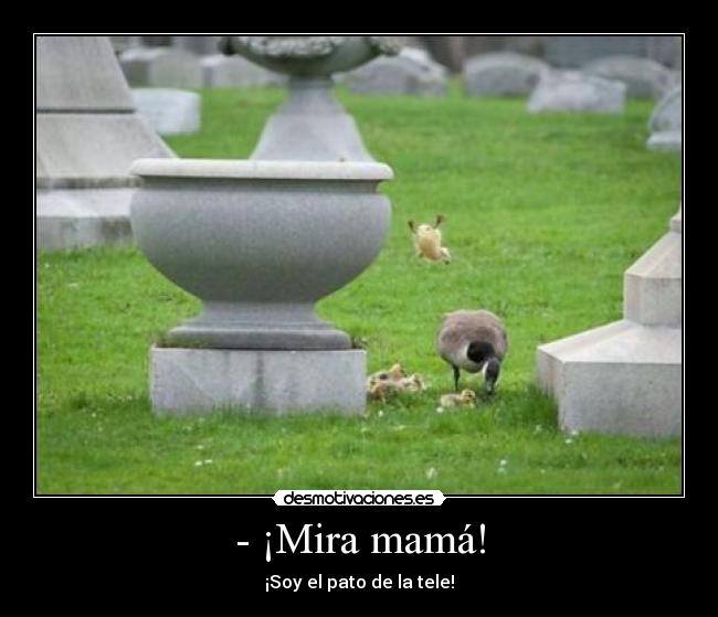 - ¡Mira mamá! - ¡Soy el pato de la tele!