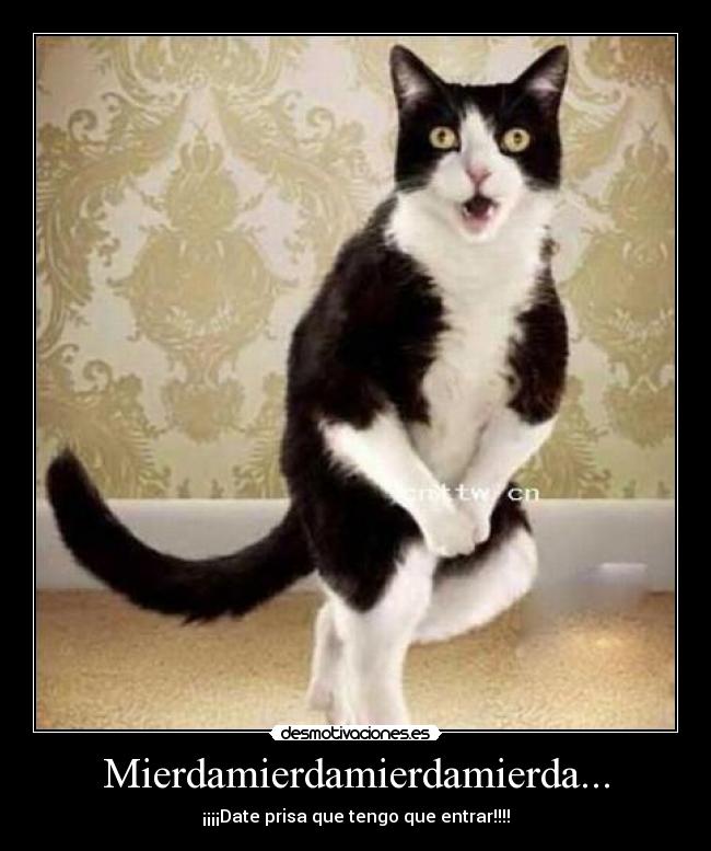 Mierdamierdamierdamierda... - ¡¡¡¡Date prisa que tengo que entrar!!!!