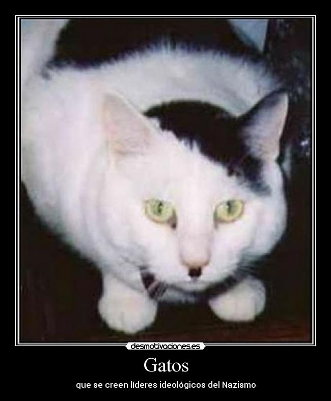 Gatos - que se creen líderes ideológicos del Nazismo