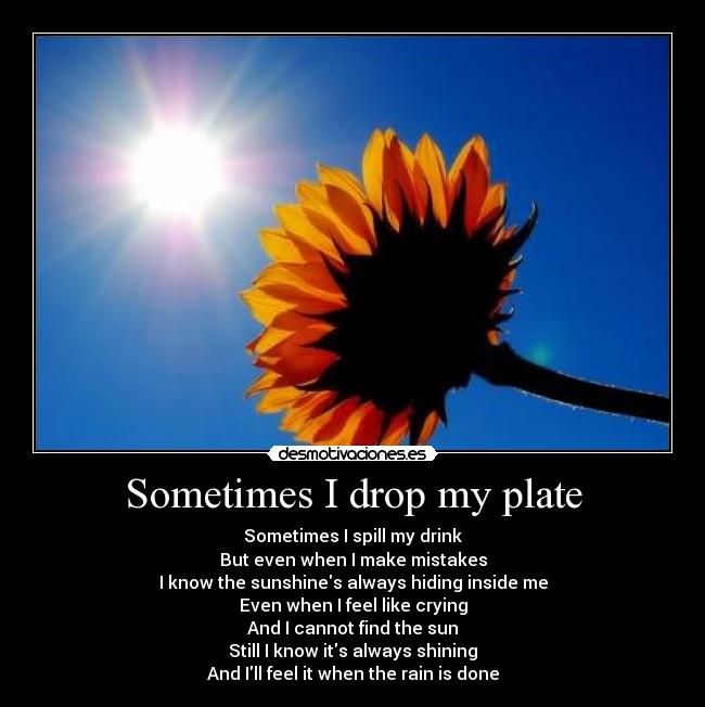 carteles honey bear desmotivaciones