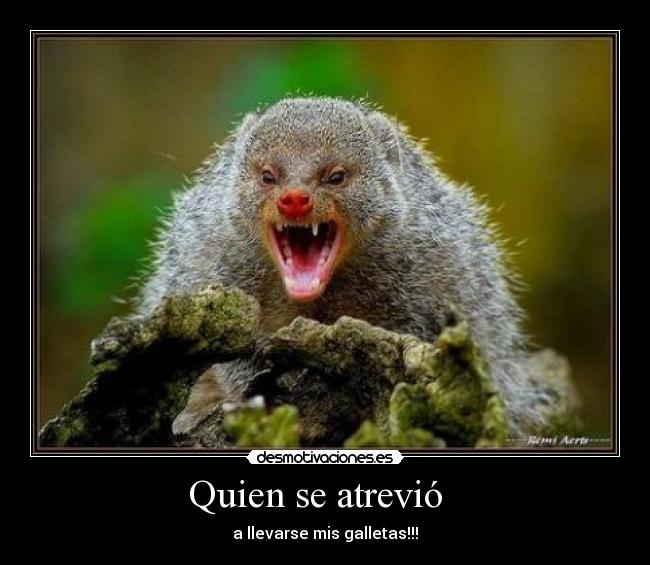 Quien se atrevió -
