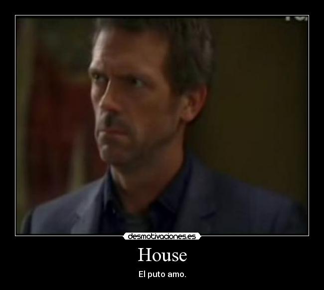House - El puto amo.