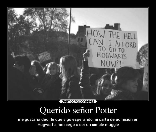 Querido señor Potter - 