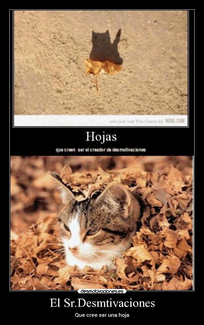 El Sr.Desmtivaciones - Que cree ser una hoja