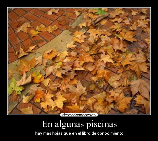 En algunas piscinas -