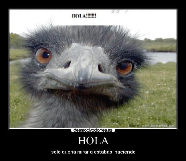 HOLA - solo queria mirar q estabas haciendo