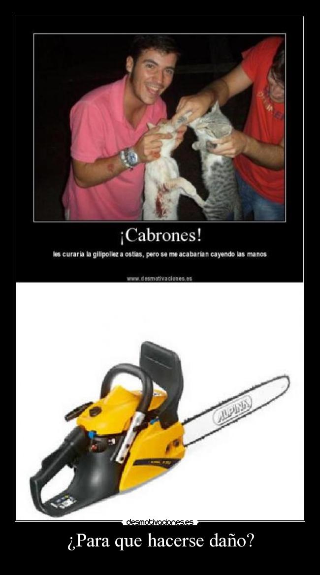 ¿Para que hacerse daño? - 