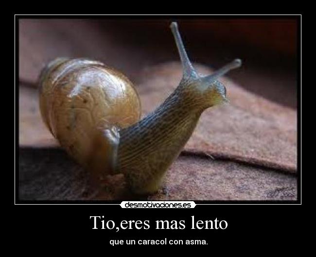 Tio,eres mas lento - 