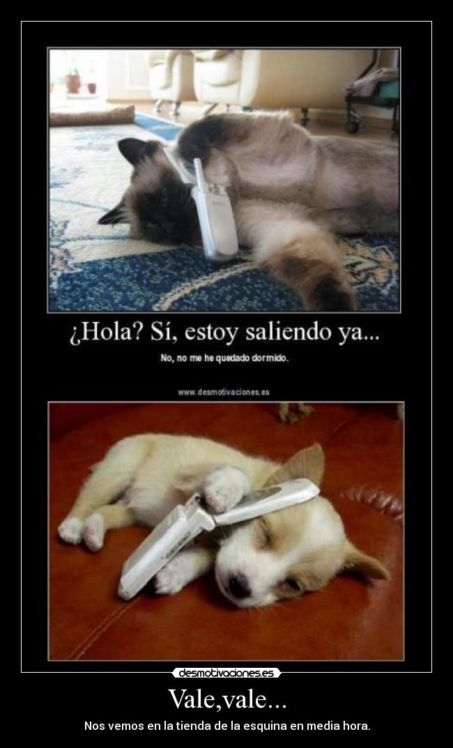 Vale,vale... - Nos vemos en la tienda de la esquina en media hora.